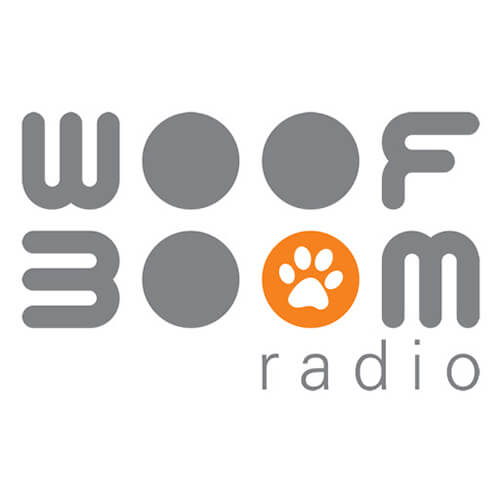 iba-career-fair-logos-Woof-Boom